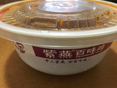 -紫燕百味鸡(付家坡店)