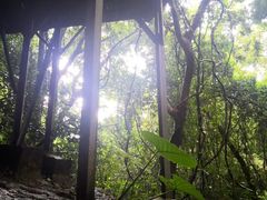 -七仙岭温泉国家森林公园