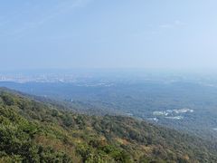 -紫金山山顶公园