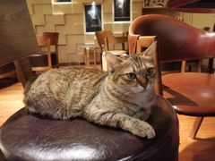 -H立方实景剧情密室(天河旗舰店)