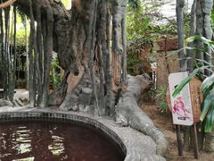 -龙达温泉生态城