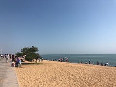 -日照海滨国家森林公园