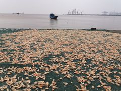 -汤山公园