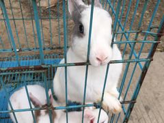 -呼吸森林·生态农庄农家乐私房菜