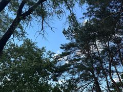 -萨尔浒风景区