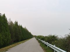 -贡湖湾湿地公园