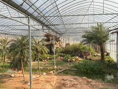 -无锡动物园·太湖欢乐园