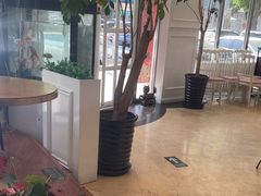 -花舍·新派粤菜·西餐·下午茶(亚运村·鸟巢店)