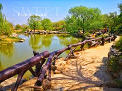 -北京西山国家森林公园