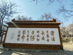 -桃花堤公园