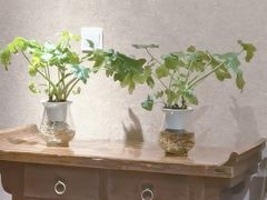 -金枝玉叶上海人家食府(三里河店)