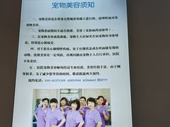 -北京观赏动物医院·24小时大型综合·猫专科·异宠专科