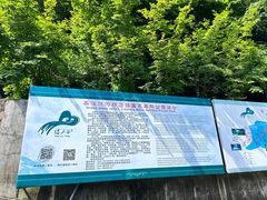 -本溪汤沟绿石谷森林公园