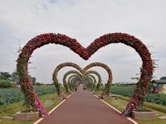 -迪茵湖田家舍生态农场