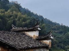 -杨家堂村