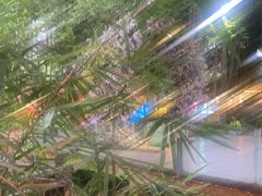 -二荆条·蜀鲜汇城市森林火锅