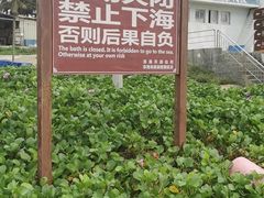 -东海岛旅游度假区