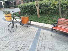 -成都南湖公园