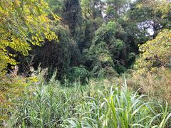 -火炉山森林公园