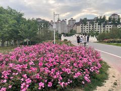 -马家湾湿地公园