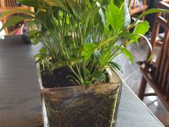 -唐猫庭院·千年陕菜(赛格国际购物中心店)