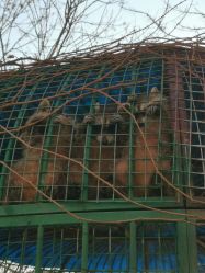 -萌宠亲子动物乐园(槐房万达店)