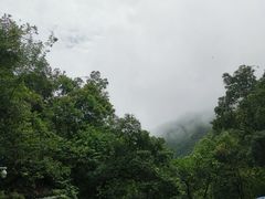 -南海湾森林生态园