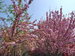 -北京明城墙遗址公园