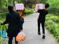 -重庆彩云湖湿地公园