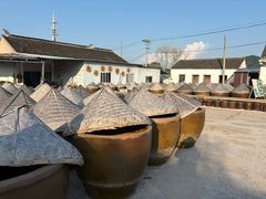 -苏州市吴中区光福窑上花果蜜饯厂