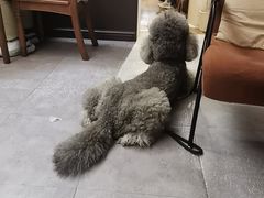 -沏点Trattoria意大利餐厅(新街口店)