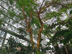 -南山植物园