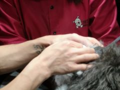 -宠物家(角门东店)
