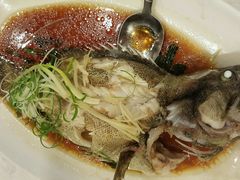 清蒸沙巴龙趸-鸿星海鲜酒家(格兰中心店)