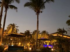 -采悦轩中餐厅·粤菜·海南菜(神州半岛喜来登度假酒店)