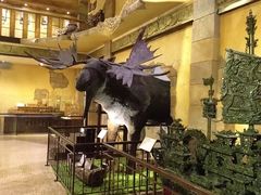 -信不信由你博物馆