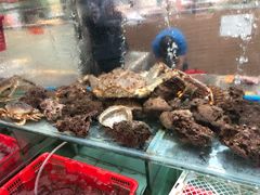 -寻味顺德·南记酒家·传统顺德菜·鱼生(广源路店)