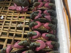 -渔人湾码头海鲜市场负二楼