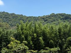 -香江大丰水峡谷漂流