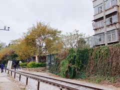 -云南师范大学(一二一西南联大校区)