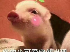 -高记清香园绝味不翻汤