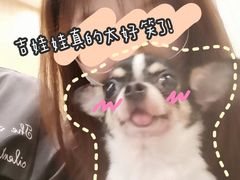 -藦茜花园宠物主题亲子互动体验馆(国顺东路店)