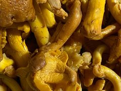 鸡油菌-蘑统田下·野生菌火锅