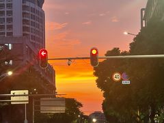 -龙兴·动物奶油生日蛋糕(龙北店)