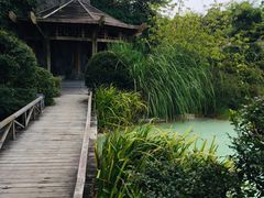 -吴淞炮台湾湿地森林公园烧烤区