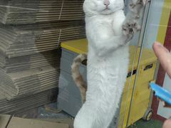 -老味道1992(武当山店)