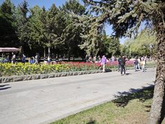 -北陵公园
