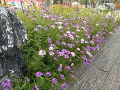 -龙美术馆(西岸馆)