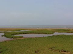 -鄱阳湖国家湿地公园