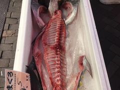 -大起水产回转寿司(道顿堀店)